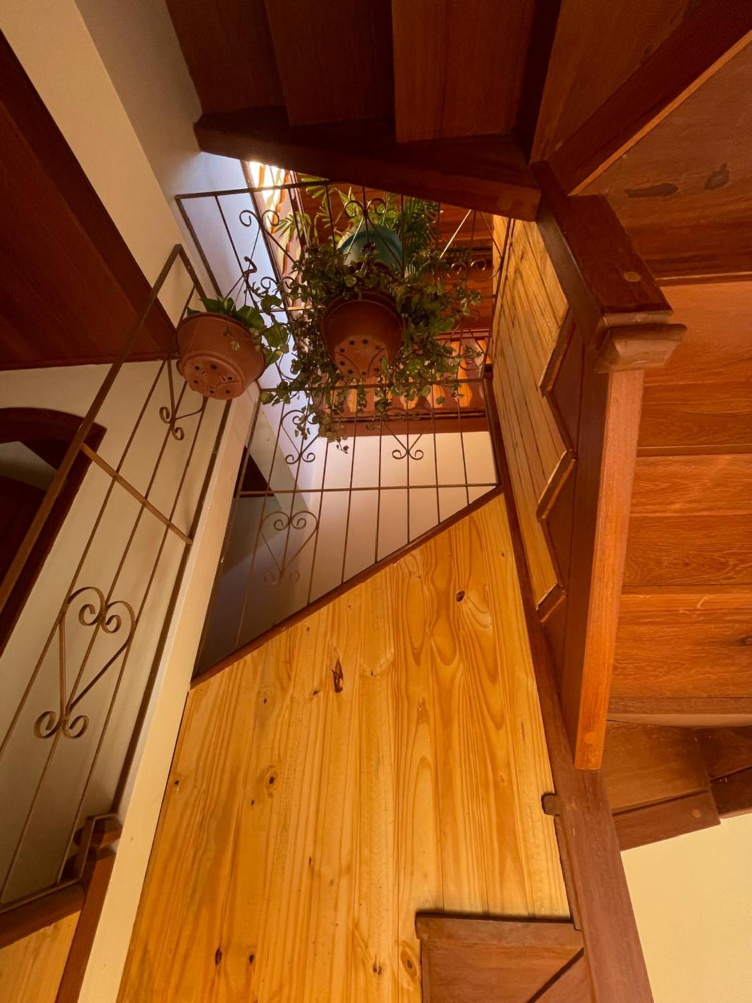 Casa Flores - Lumiar 民宿